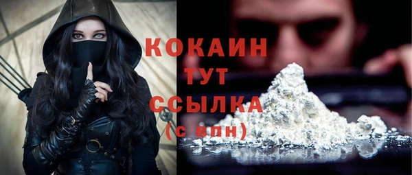 прущие крисы Няндома