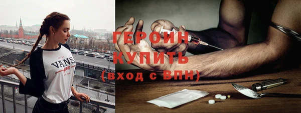 индика Осташков