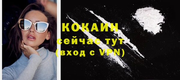 индика Осташков