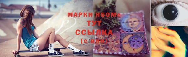 индика Осташков