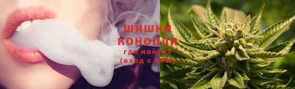 индика Осташков