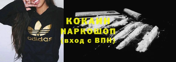 индика Осташков
