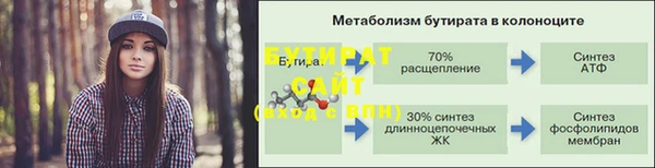 индика Осташков