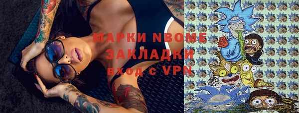 индика Осташков