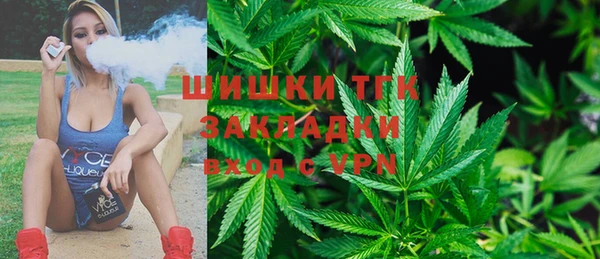 индика Осташков