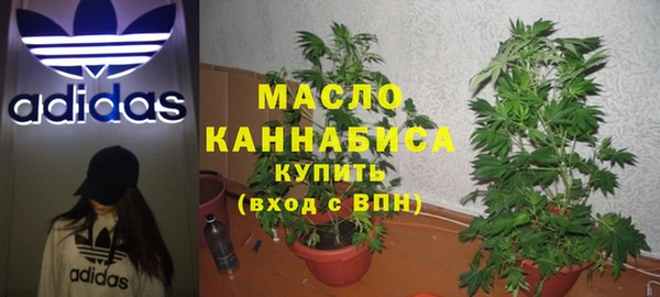 индика Осташков