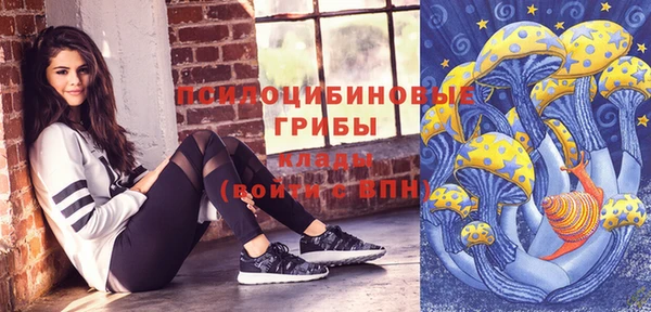 индика Осташков
