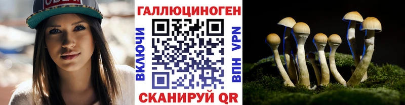Псилоцибиновые грибы ЛСД Кизел