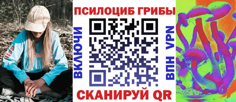 Псилоцибиновые грибы MAGIC MUSHROOMS  blacksprut сайт  Кизел 
